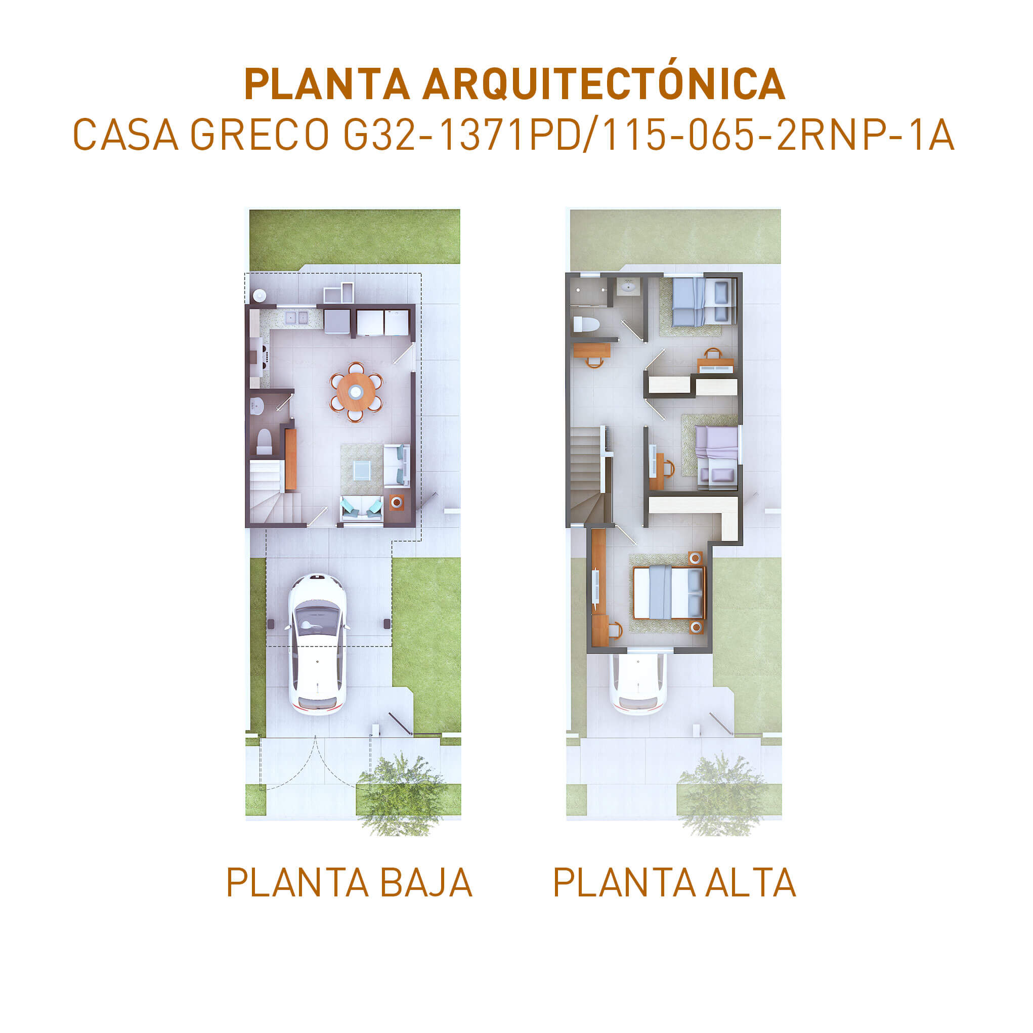 PLANTAS-G1371-270924 (1)